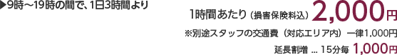 9時〜19時の間で、1日3時間より 1時間あたり(損害保険料込)2,000円 ※別途スタッフの交通費(対応エリア内)一律1,000円×人数分がかかります。 延長割増…15分毎1,000円