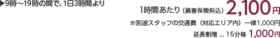 9時〜19時の間で、1日3時間より 1時間あたり(損害保険料込)2,100円 ※別途スタッフの交通費(対応エリア内)一律1,000円×人数分がかかります。 延長割増…15分毎1,000円