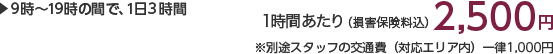 9時〜19時の間で、1日2時間 1時間あたり(損害保険料込)1,500円 ※別途スタッフの交通費(対応エリア内)一律1,000円×人数分がかかります。