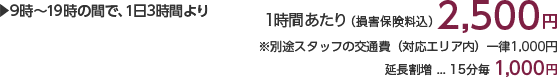 9時〜19時の間で、1日3時間より 1時間あたり(損害保険料込)3,000円 ※別途スタッフの交通費(対応エリア内)一律1,000円 延長割増…15分毎1,000円