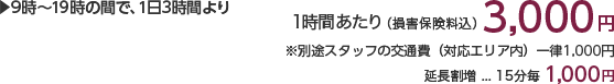 9時〜19時の間で、1日3時間より 1時間あたり(損害保険料込)2,600円 ※別途スタッフの交通費(対応エリア内)一律1,000円 延長割増…15分毎1,000円